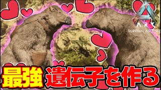 【ARK】優れた遺伝子を作り出せ！ボス戦に向けてメガテリウムをブリーディングするぞ！#18