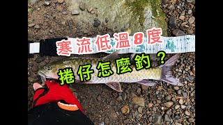 寒流來襲捲仔竿竿咬!?竹篙頭吃亮片~吳郭魚也不怕冷!?(卷，何氏棘魞，路亞，顫泳，溪釣，福壽).