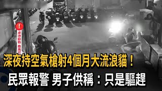 男子持空氣槍襲擊流浪貓 被逮稱「只是驅趕」－民視新聞