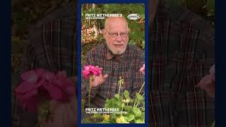 Fritz Wetherbee reflects on his interview with David McCullough