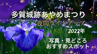 多賀城跡あやめまつり2022年 3年ぶりの開催 夜間ライトアップ 写真・見どころスポット