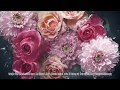 Mother's Day Flowers | M&S