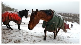 SNOW ARRIVES AT THE WORSE TIME