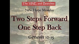 Two Steps Ahead, One Step Back_The VINE and Branches