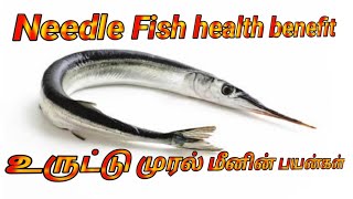 Mural fish health benefit in Tamil|Needle fish cutting and skills|mural meen Nanmaigal