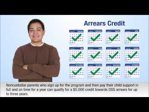 Child Support: Programs and Services for Noncustodial Parents Child Support: Programs and Services for Noncustodial Parents