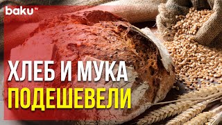 Госслужба Опубликовала Результаты Мониторинга | Baku TV | RU