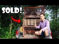 100,000 Pesos Worth of Chickens, SOLD in 1 Day!