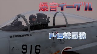 【最強戦闘機】まだまだ最前線で飛んでるF-15イーグル！デカい機体だけに貫禄が凄い！