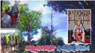 Kalahandi Paikabahal Dasahara 2024 ||Budharaja jatra||big festival 2024#2024 sl#jaipatna #kalahandi