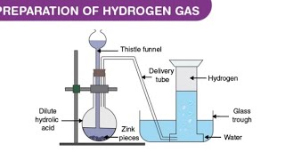 laboratory preparation of hydrogen gas