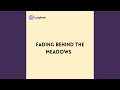 Fading behind the Meadows