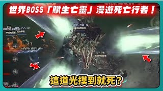 【暗黑破壞神4】世界BOSS「賦生亡靈」漫遊死亡行者！這道光摸到就死？｜Diablo4｜魔法使｜# 005｜PFY玩給你看