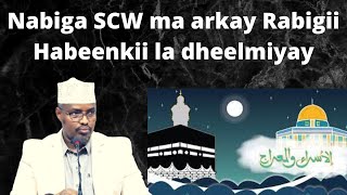 Nabiga (SCW) ma arkay Rabigii Habeenkii la dheelmiyay iyo khilaafka kujira Sh Xassaan