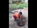 மரக்கன்றுகள் நடும் பணிகள் மரக்கன்று நடுதல் tree planting