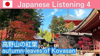 Japanese Listening for  beginner \