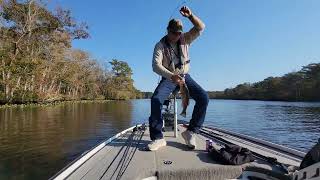 Fall Fishing the Pocomoke River