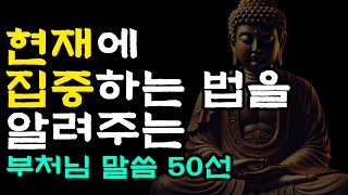 현재에 집중하는 법을 알려주는 부처님 말씀 50선 | 부처님명언 | 부처님가르침 | 부처님지혜