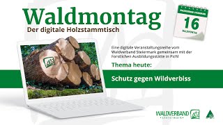 20211025_Waldmontag_Schutz gegen Wildverbiss