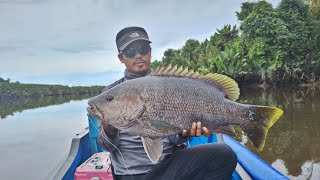 BLACKBASS PERTAMA DITAHUN 2025 !