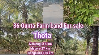 36 Gunta Farm Land for sale small thota near Nanjangud Tar road attach 27 km Mysore 150km Bengaluru