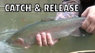 Fly Fishing for Trout with an Indicator/ Keystone Select Waters