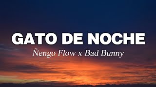 Ñengo Flow, Bad Bunny - Gato de Noche (Letra/Lyrics)
