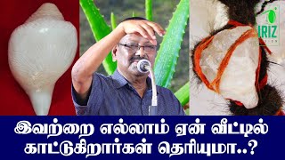 Arivumathi Latest Speech | இவற்றை எல்லாம் ஏன் கட்டுகிறார்கள் தெரியுமா? | Iriz Vision