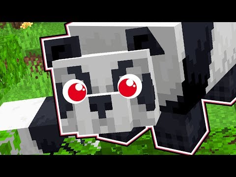 NEW PANDAS and BAMBOO in Minecraft NEW PANDAS and BAMBOO in Minecraft