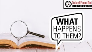 Do Words Get Removed from a Dictionary When People Stop Using Them?