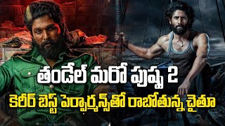 Thandel : ఈసారి సాయిపల్లవికి ధీటుగా Naga Chaitanya పెర్ఫార్మన్స్ | Akkineni Fans | FilmiBeat Telugu