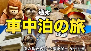 【車中泊の旅】久しぶりの1人っ子気分を満喫する愛犬とお出かけ！ハイエースキャンピングカー