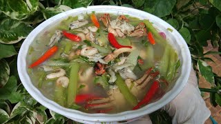 សម្លរម្ជូរក្តាត / ​Elephant Ear​ plant sour soup