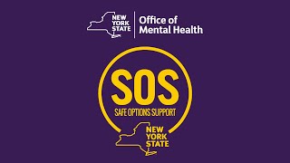 Safe Options Support (SOS) Teams