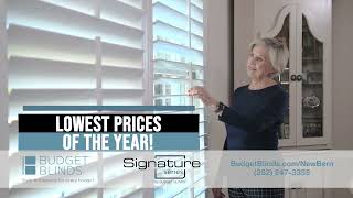 Budget Blinds ENC Best Prices Of The Year 30 2023