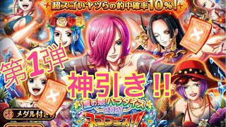 【トレクル】夏の娘パラダイス　スゴフェス第1弾　神引き‼︎‼︎【OPTC】