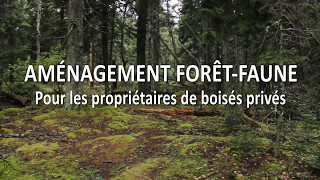 Formation Aménagement Foret Faune