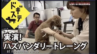 LIVE収録 ハズバンダリー祭り ゲスト 高橋礼美：DOGGY STATION Vol.159/犬のしつけ・問題行動・犬の心理学・犬の行動学・ドッグビヘイビアリスト