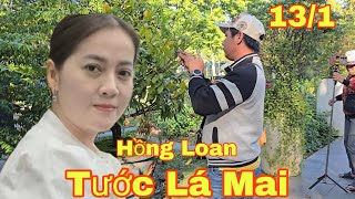 Sáng 13/1 Hồng Loan cùng với các anh chị em, Tước lá mai Cho NSƯT Vũ Linh đón Tết và...