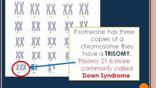 Karyotypes