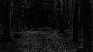 DARK AMBIENT HORROR MELODIC - FOREST WILDERNESS prod by candysoul