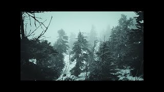 Snowstorm Blizzard Wind Sounds For Sleeping, Relaxing . Calm Snow Arctic Howling Winter Ambience