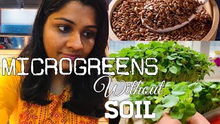 ഇലക്കറികൾ വളർത്താൻ ഇനി മണ്ണ് വേണ്ട |Microgreens Without Soil| Indoor Tray Farming |Mom Life Journal