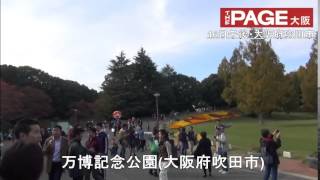 万博記念公園　紅葉がみごろ　2014年11月17日　THEPAGE大阪