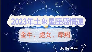 【塔羅占卜】2023年土象星座感情運——金牛座、處女座、摩羯座