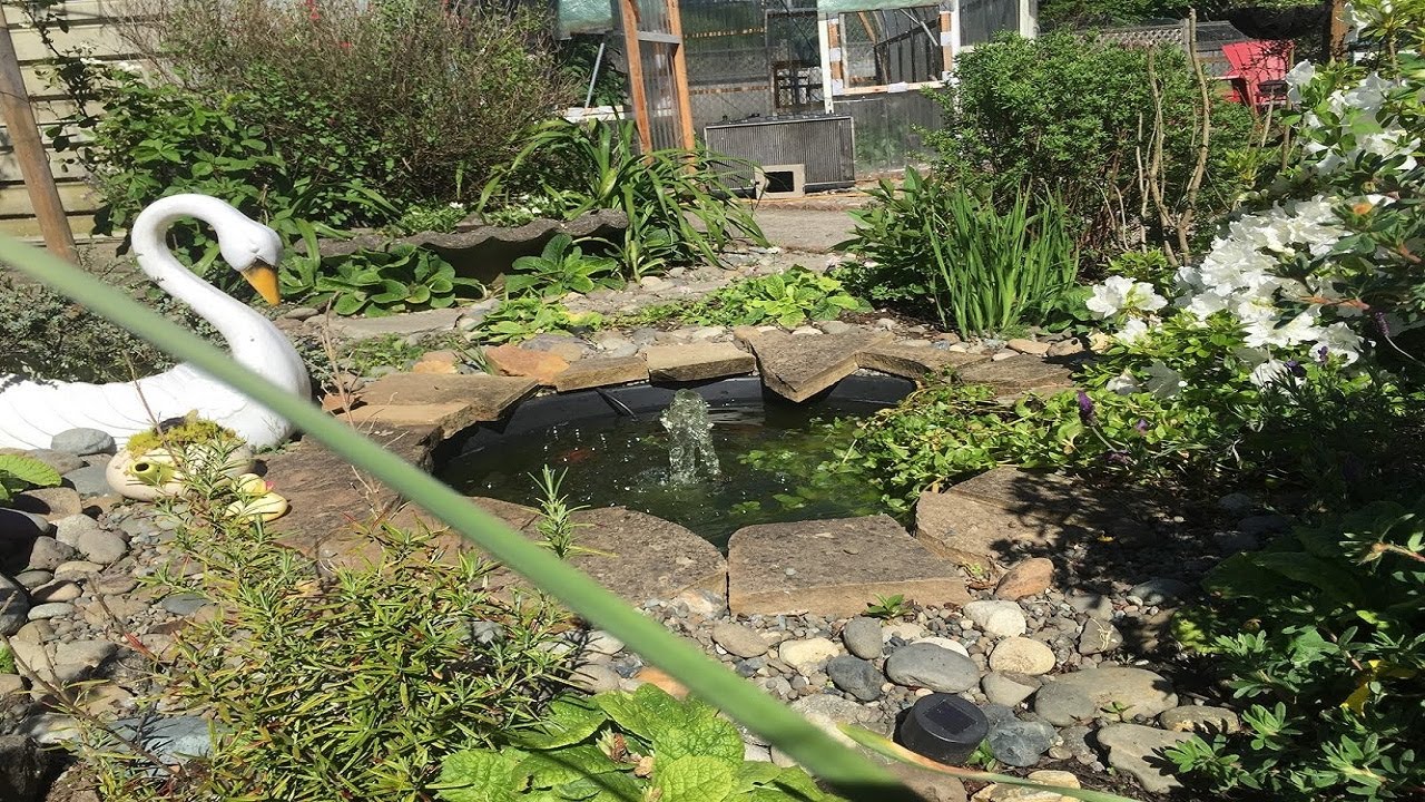 Garden Update Youtube
