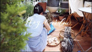 June Food and Gardening/blueberry harvest/Gardening