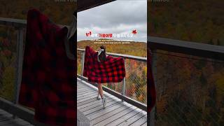 🇨🇦 2024 퀘백 단풍 여행 이 영상으로 정리 끝! Quebec fall foliage #퀘백 #캐나다여행 #캐나다 #몬트리올 #단풍명소 #quebec #fallfoliage