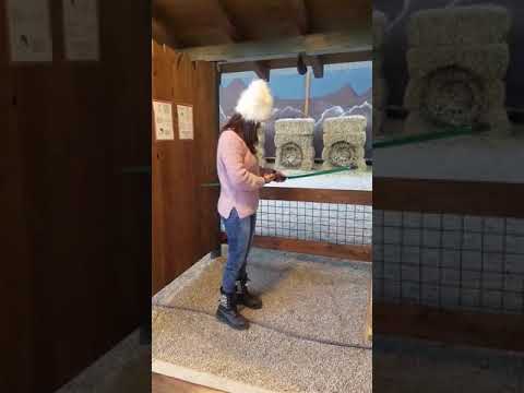 Archery at Skypark Santa Village @Dec29,17 Archery at Skypark Santa Village @Dec29,17