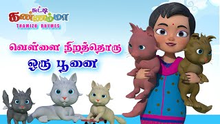 Tamil Kids Cat Song - Vellai Nirathoru Poonai - Chutty Kannamma Tamil Rhymes + Baby Songs